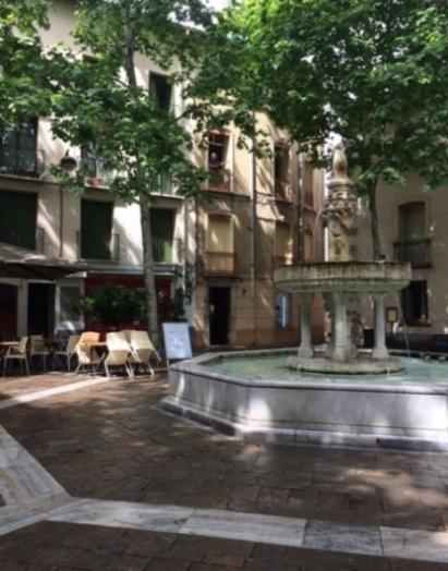 One Bedroom Apartment Place De L'Eglise, Ceret Bagian luar foto